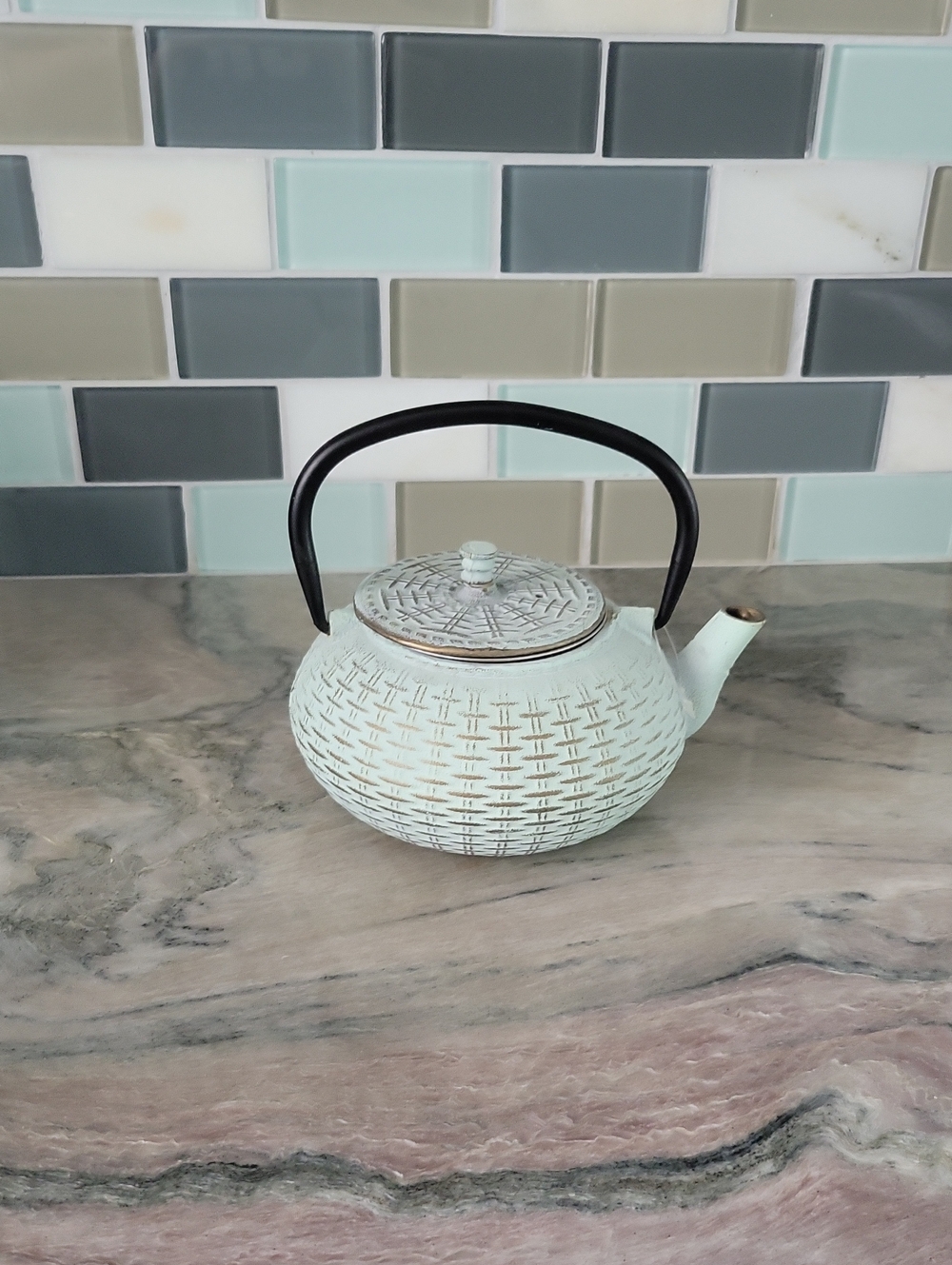 Cost Plus World Market Pale Mint Cast Iron Teapot with Black Handle
